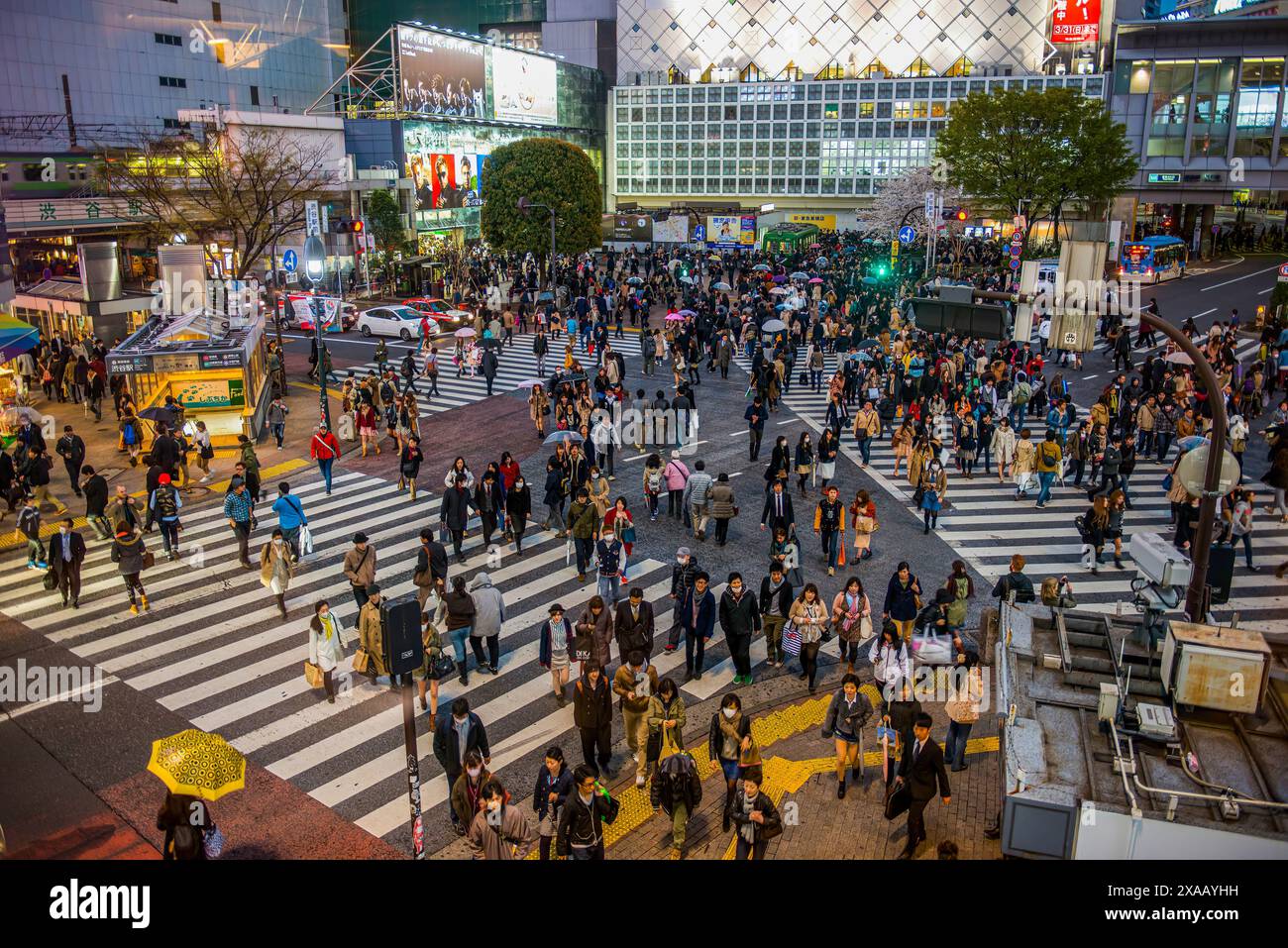 Persone che attraversano la strada più trafficata, Shibuya crossing, Tokyo, Honshu, Giappone, Asia Foto Stock