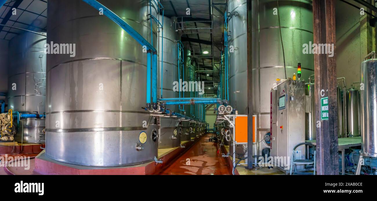 Vista dell'interno di Robertson Kooperatiewe Wynmakery, Robertson, Western Cape, Sudafrica, Africa Foto Stock