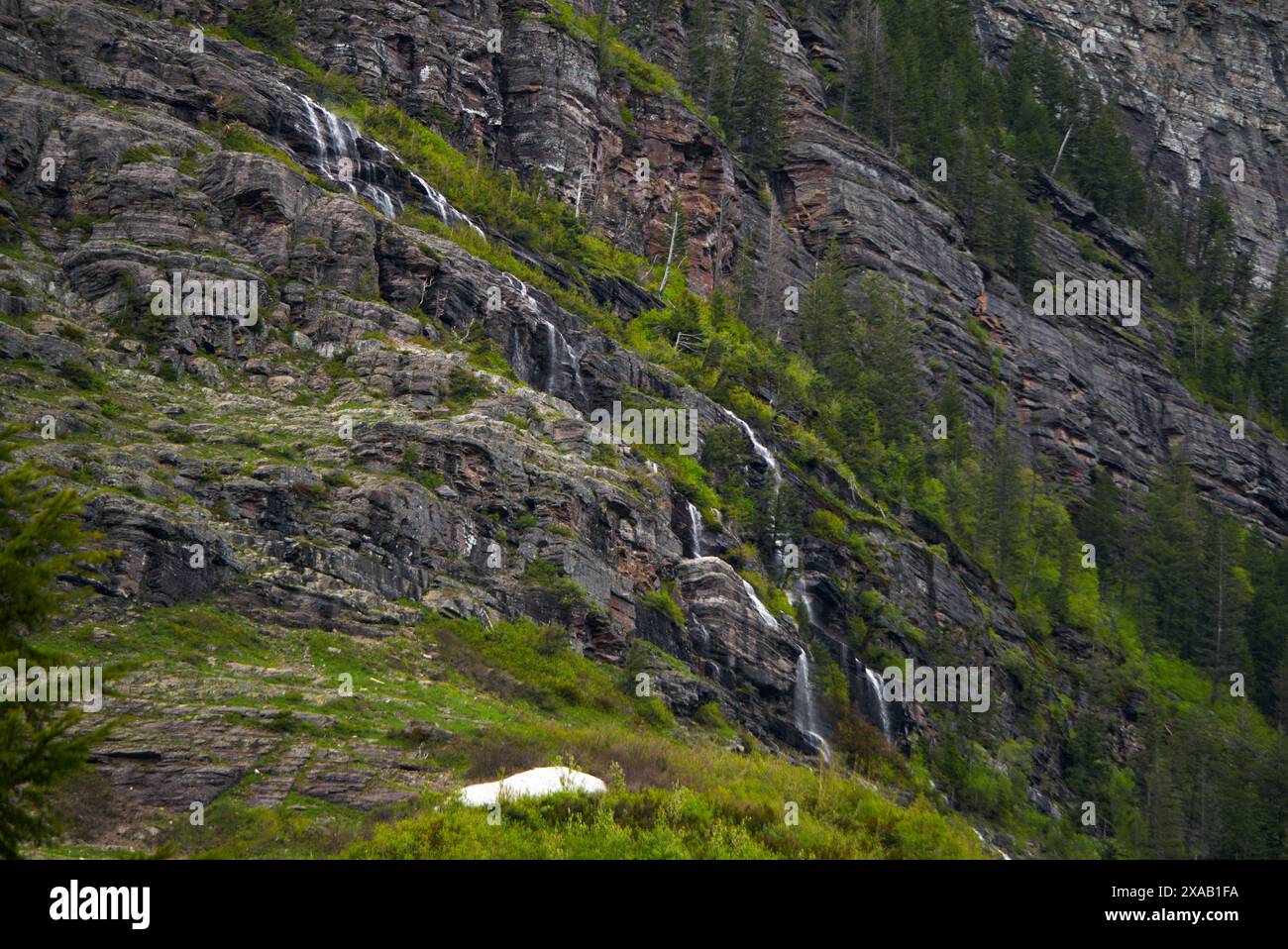 Le cascate cadono giù per Mount Cannon verso l'Avalanche Creek Foto Stock