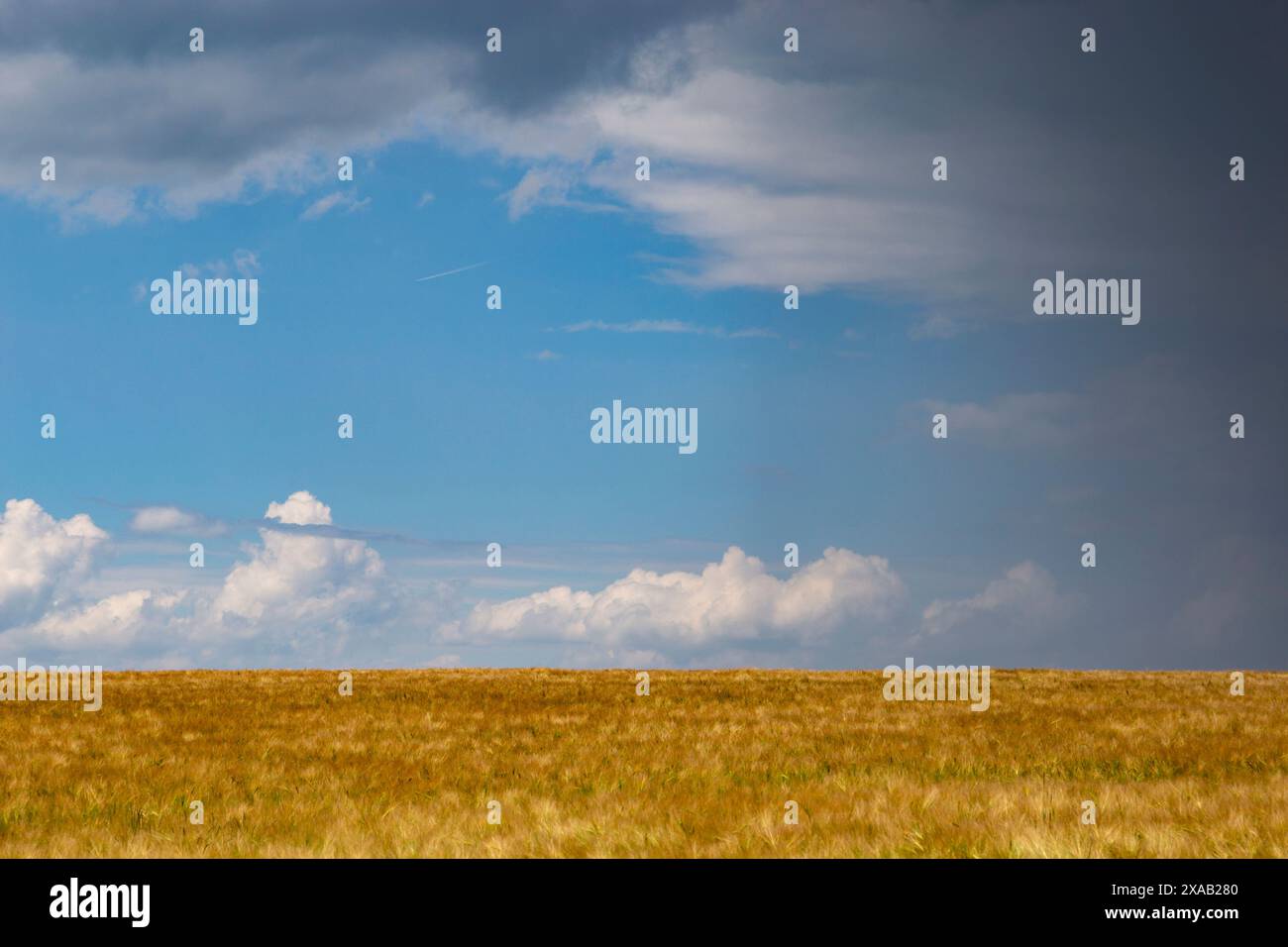 Nuvole di tempesta sui campi agricoli. Foto Stock