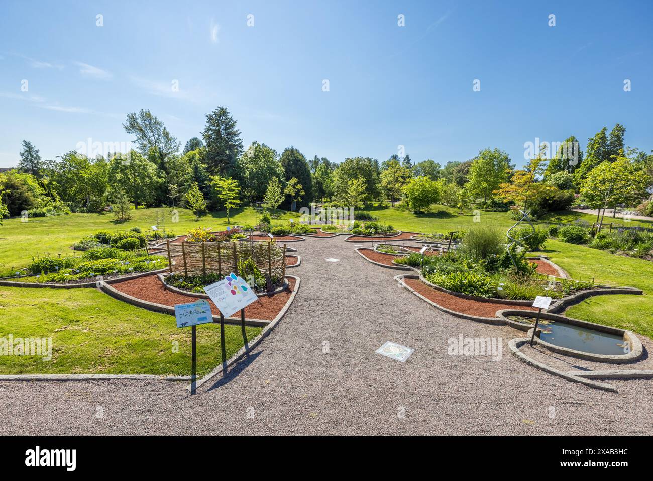 Giardino sistematico nel giardino botanico dell'Università di Uppsala. Albero filogenetico di piante da fiore secondo Carl von Linné. Triangeln, Uppsala, Svezia Foto Stock