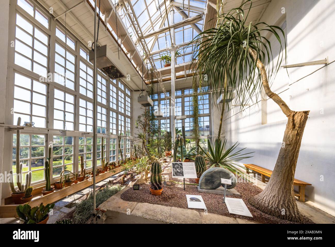 Vecchia casa tropicale nel giardino botanico di Uppsala. Oggi una collezione di succulenti. Triangeln, Uppsala, Svezia Foto Stock