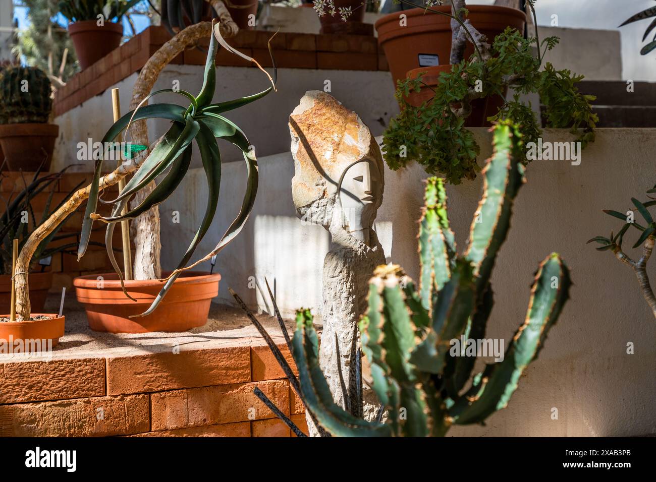 Un cactus euforbia e una pianta di aloe crescono accanto a una scultura astratta in pietra con un volto umano nell’ex casa tropicale del Giardino Botanico dell’Università di Uppsala. Triangeln, Uppsala, Contea di Uppsala, Svezia. Foto Stock