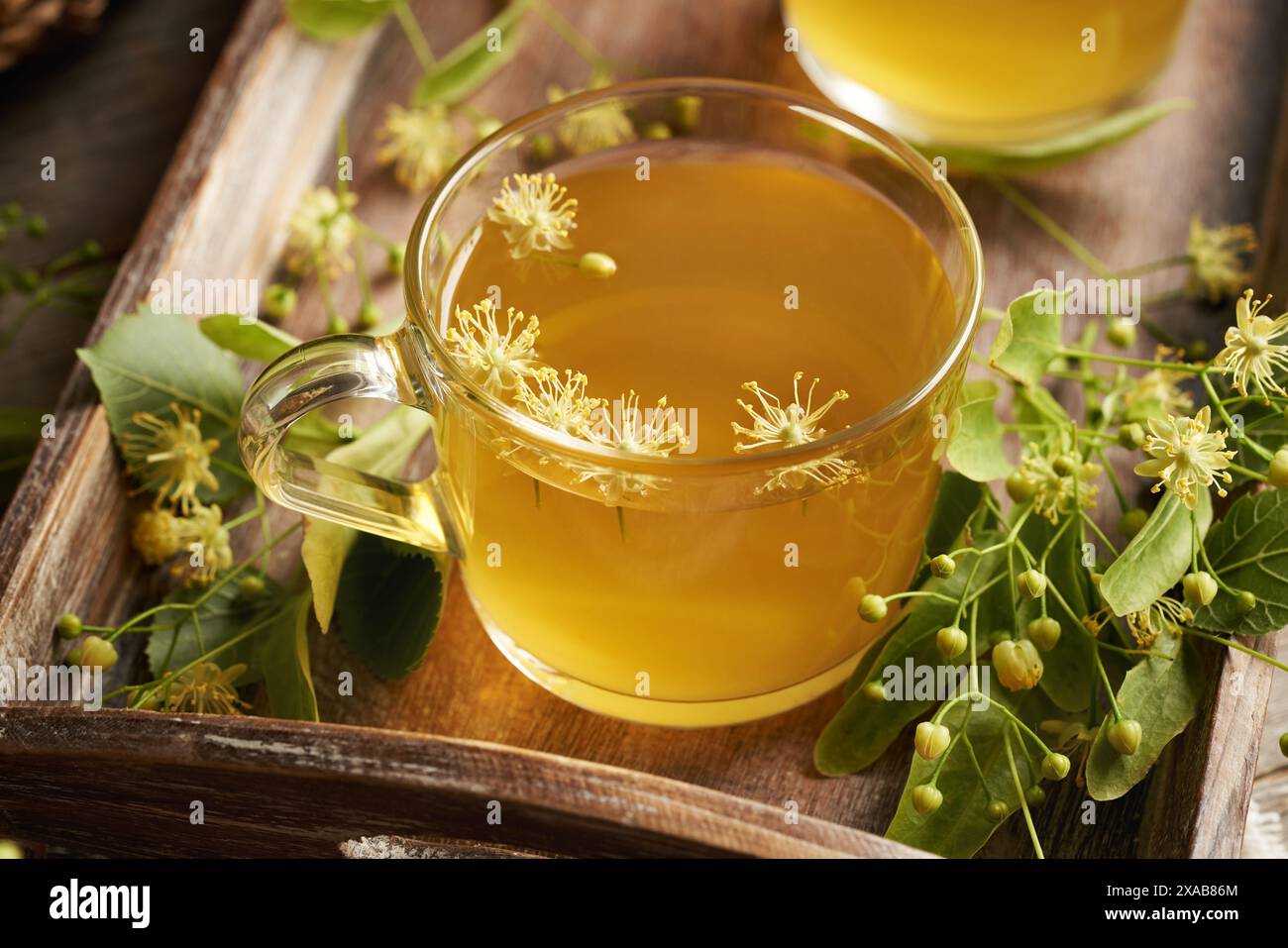 Tè ai fiori di tiglio in una tazza di vetro con fiori freschi Foto Stock