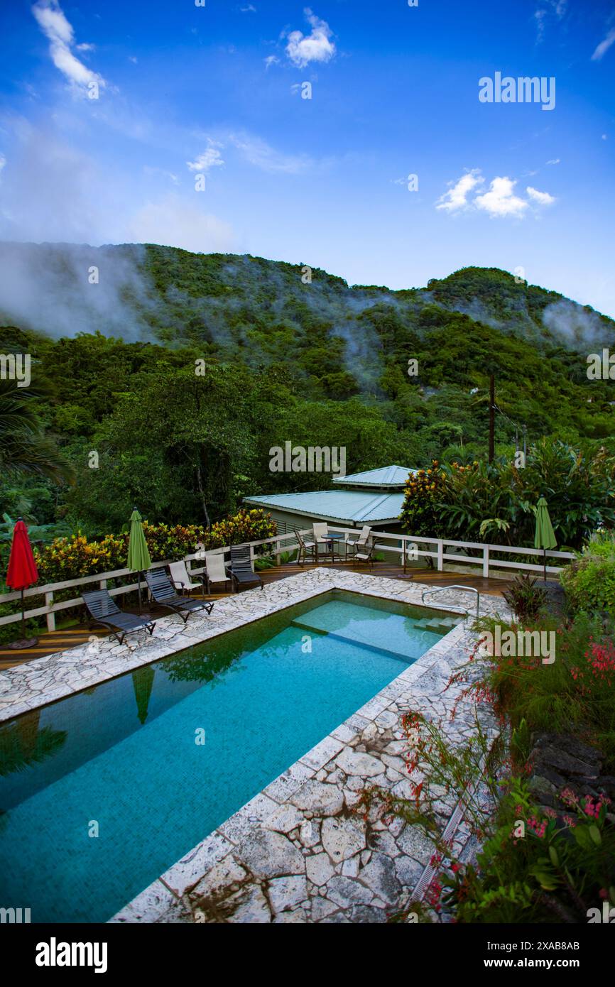 Una tranquilla oasi con piscina immersa nel resort tropicale di Porto Rico, circondata dalle verdeggianti tettoie di una foresta di nuvole. Foto Stock