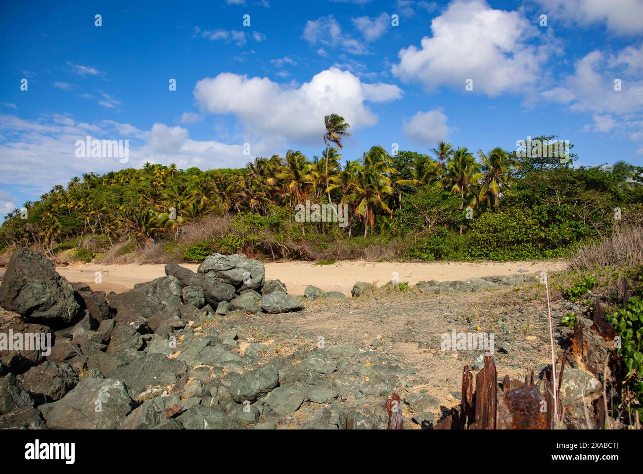 Spiaggia di Rincón a Puerto Rico, un paradiso tropicale paradisiaco con acque cristalline, spiagge sabbiose e lussureggiante vegetazione costiera e pittoresca Atlant Foto Stock