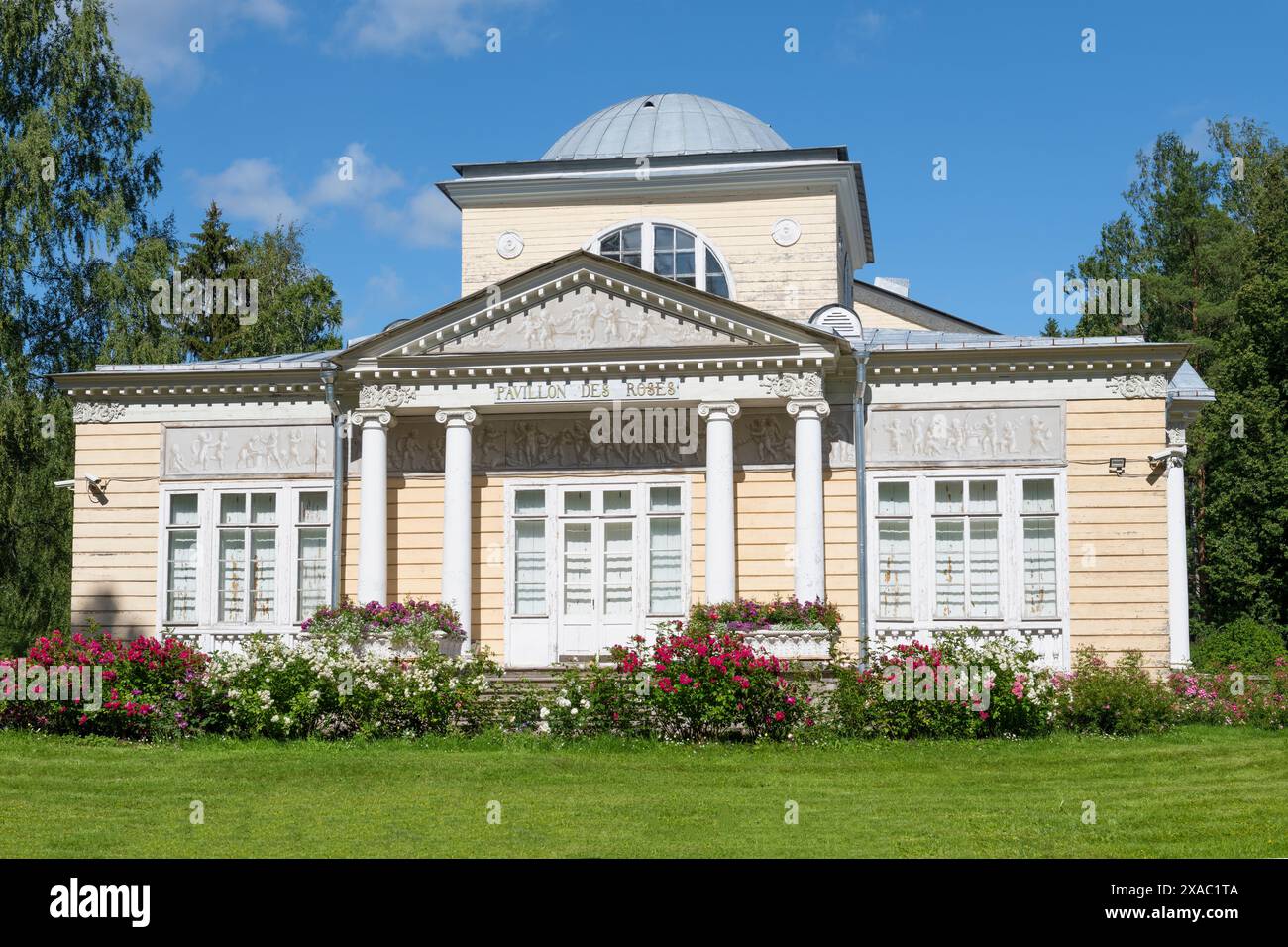 PAVLOVSK, RUSSIA - 10 LUGLIO 2023: Le vecchie "rose dei padiglioni" in un giorno di sole luglio. Parco del Palazzo Pavlovsk Foto Stock
