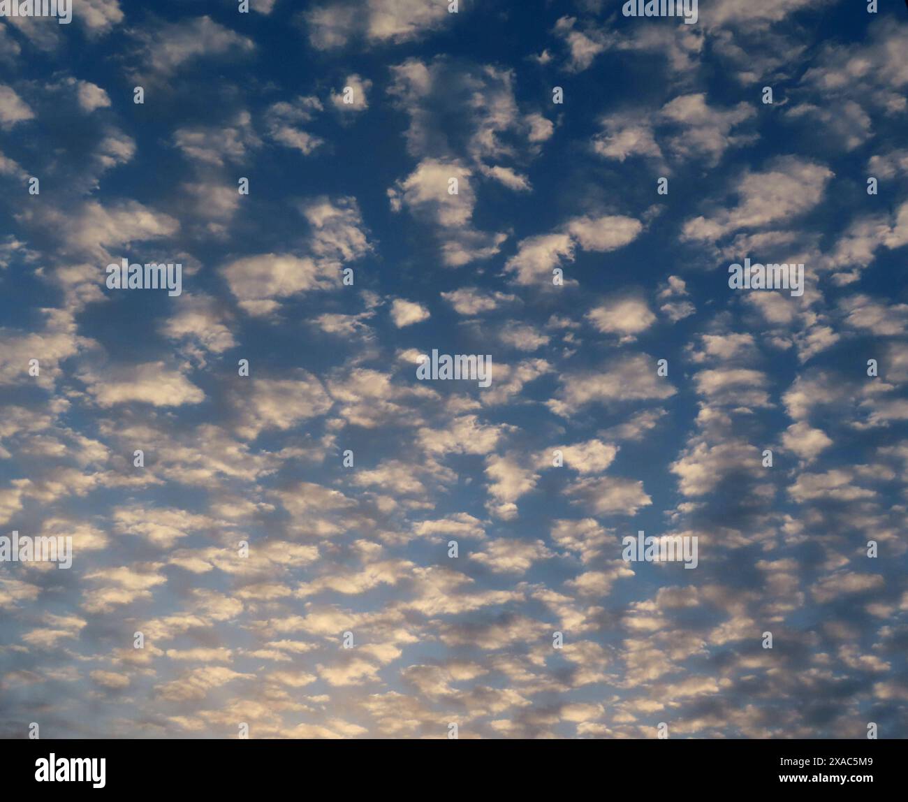 ...Schaefchenwolken am Morgen - kein Kummer - keine Sorgen... Schaefchenwolken am Morgen *** nuvole di fata al mattino senza dolore nessuna preoccupazione nuvole di fata al mattino Foto Stock