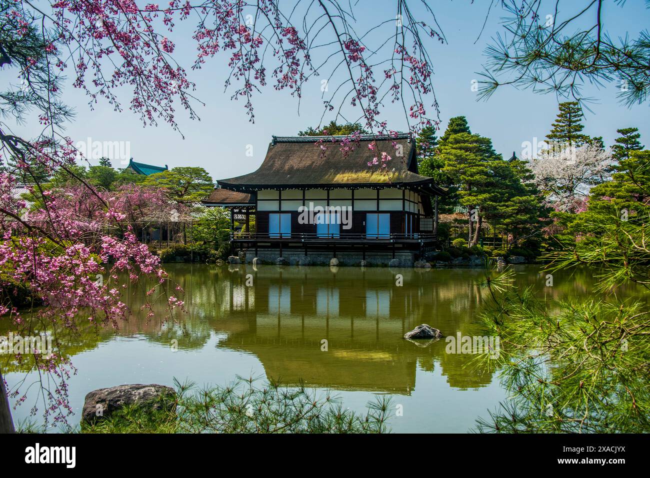 Parco Okazaki nel Santuario Heian Jingu, Kyoto, Honshu, Giappone, Asia Copyright: MichaelxRunkel 1184-11615 Foto Stock