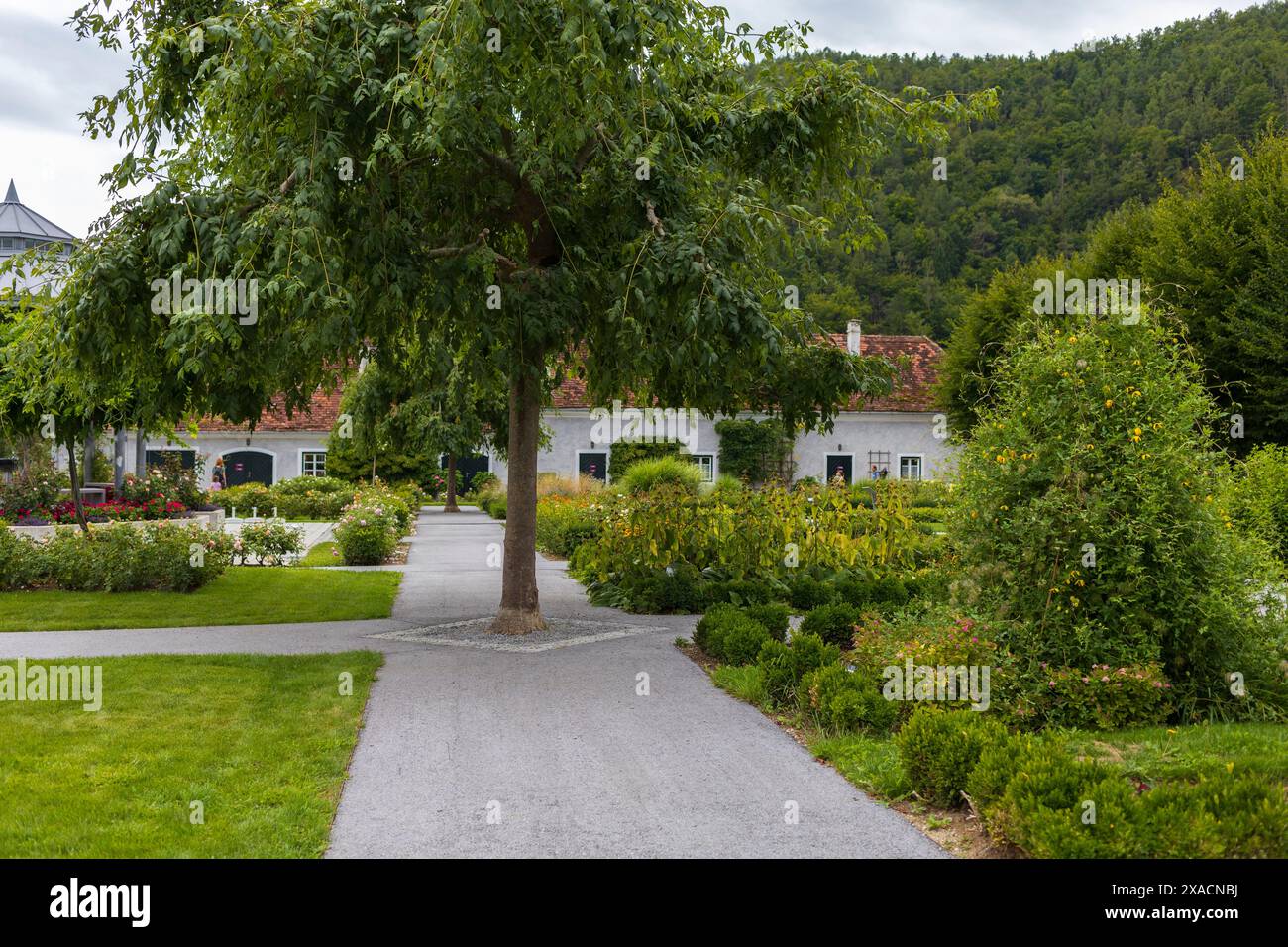 Fotografia di un giardino verde con vicoli e alberi nel mezzo con un antico casale alpino sullo sfondo Foto Stock
