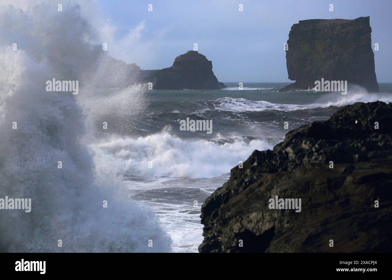 Onde che si infrangono sulle scogliere di Dyrholaey, vicino a Vik, Islanda meridionale, regioni polari Copyright: GeraintxTellem 1365-546 Foto Stock