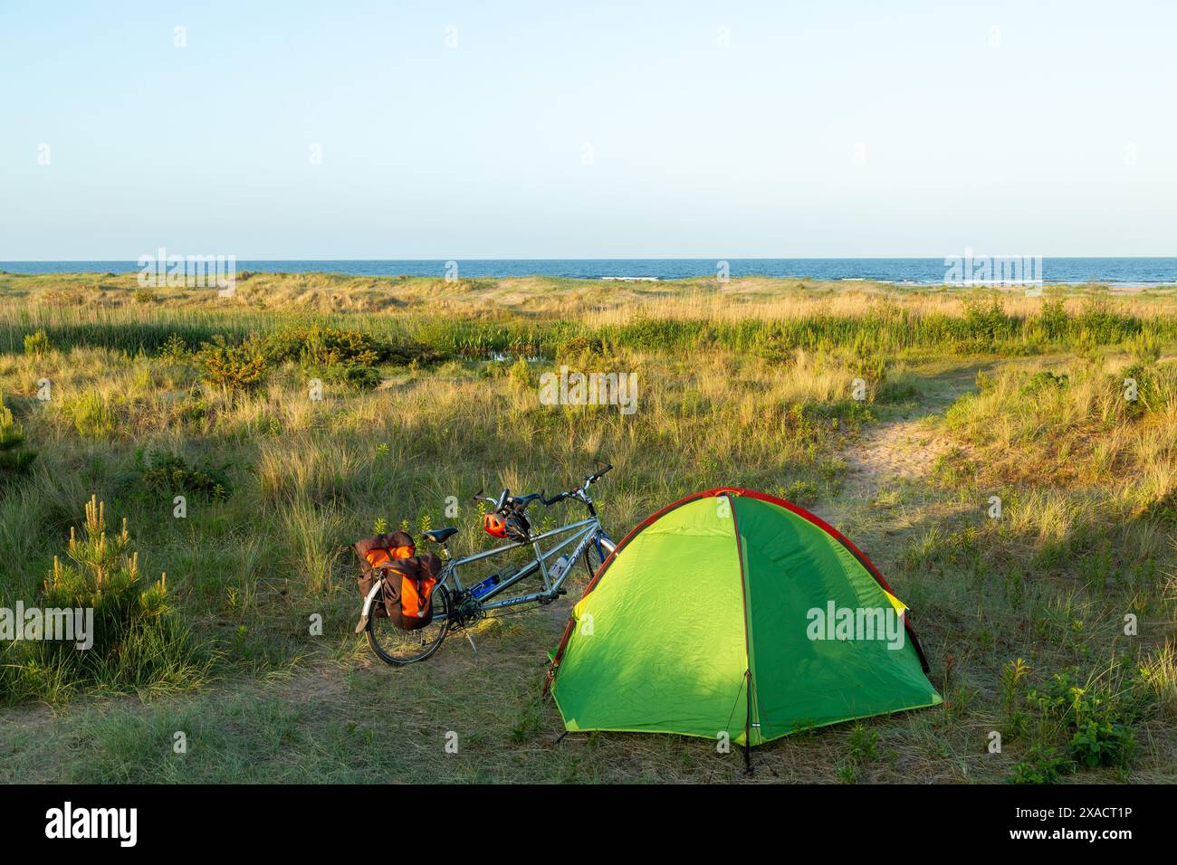 Campeggio selvaggio nella riserva naturale nazionale di Tentsmuir, Fife, Scozia Foto Stock