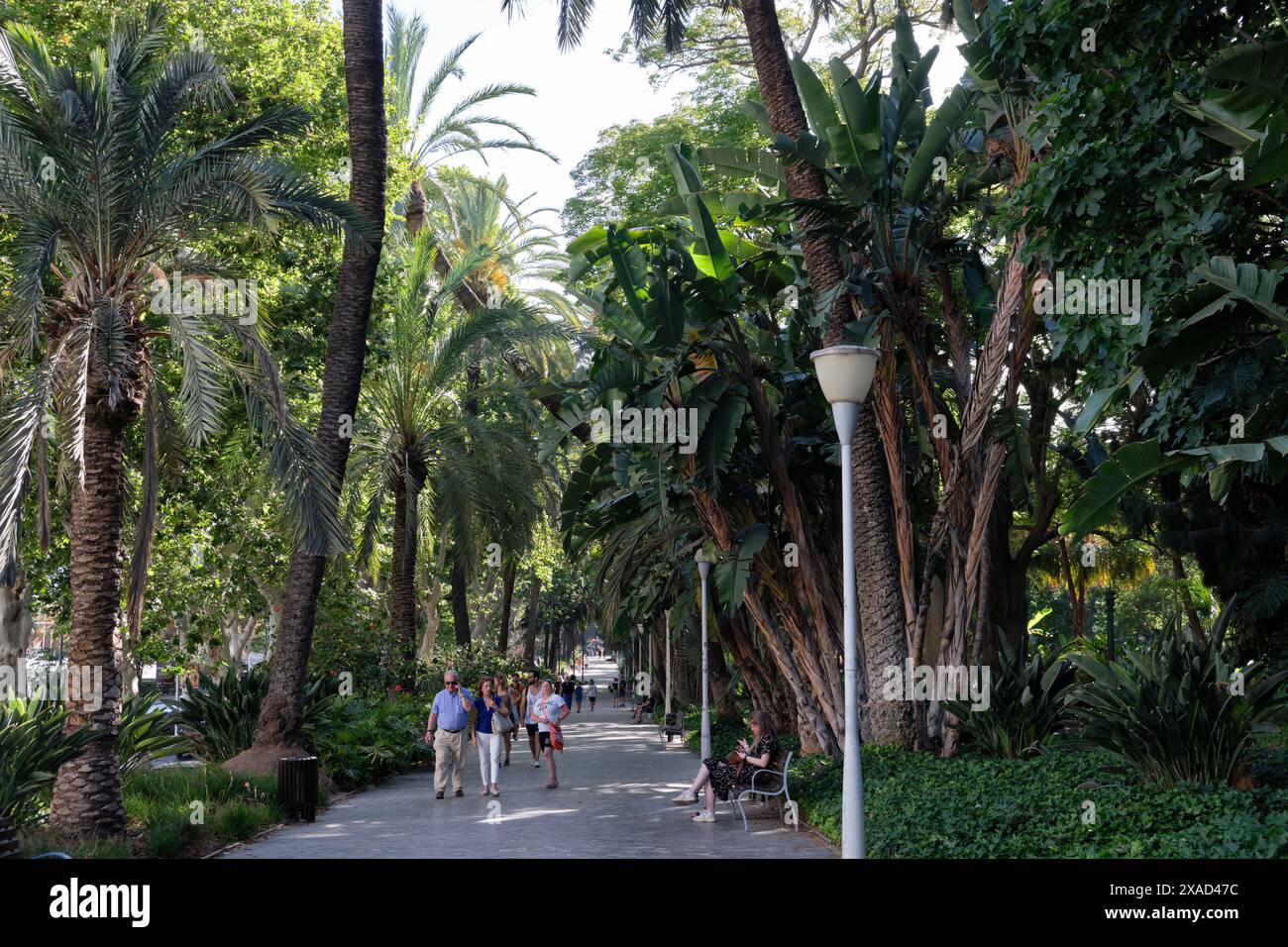 El Parque, il parco di Málaga, Spagna meridionale. Parco centenario con una moltitudine di specie tropicali e subtropicali. Foto Stock