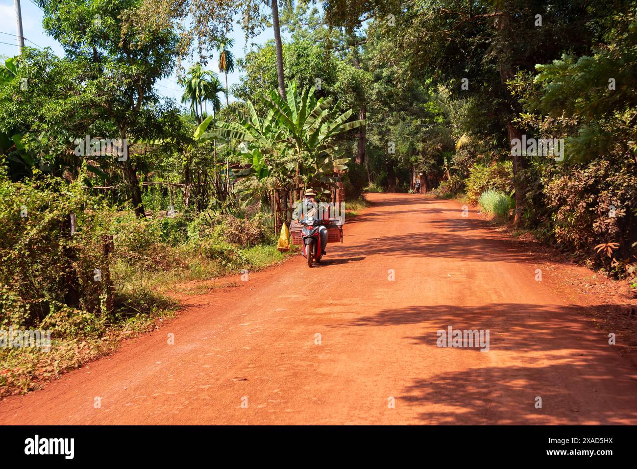 Strada rurale non asfaltata di sabbia rossa in Cambogia Foto Stock