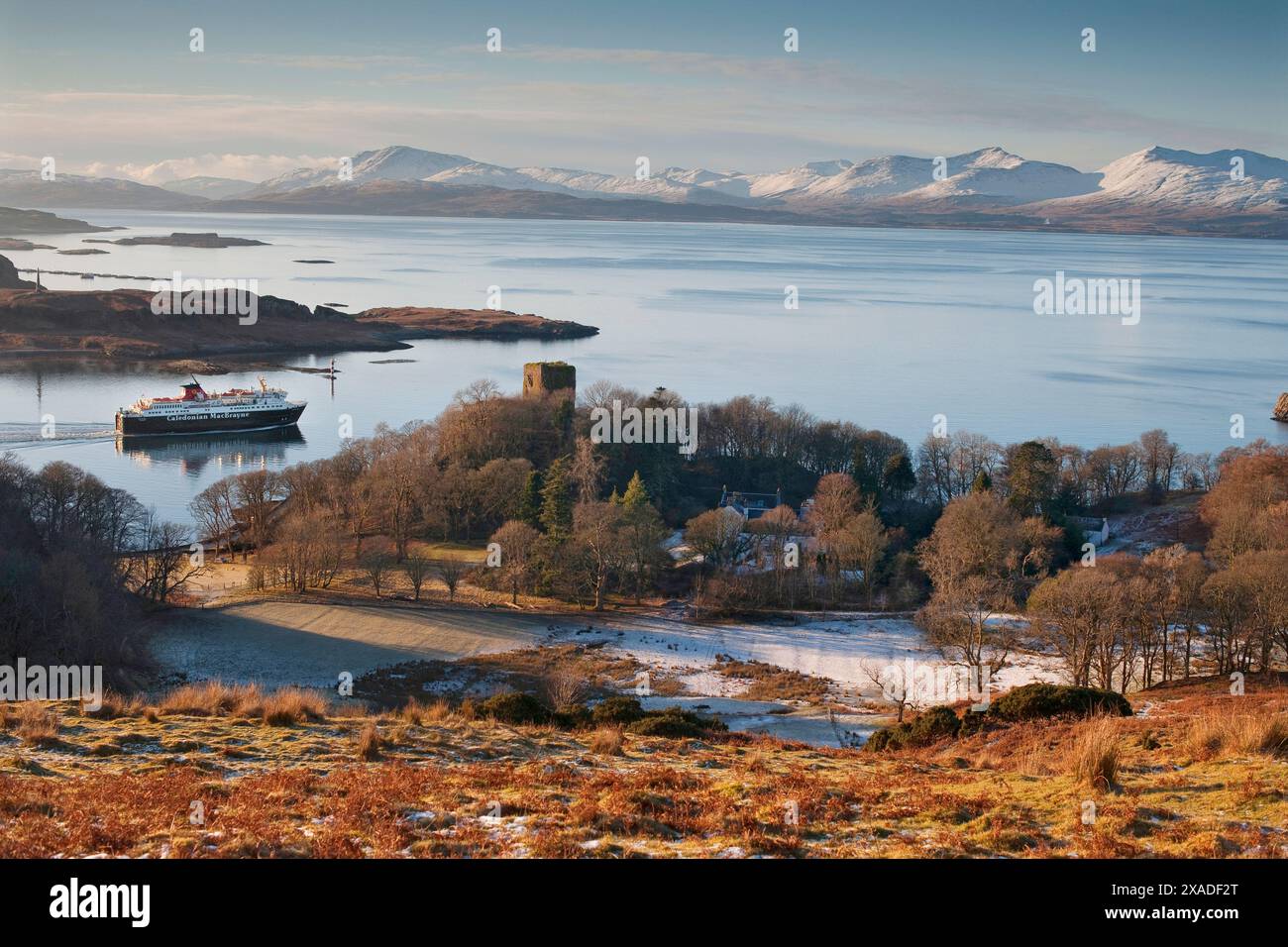 Scena di Wintre della MV Isle of Mull passando per il castello di Dunollie, Oban, Argyll Foto Stock