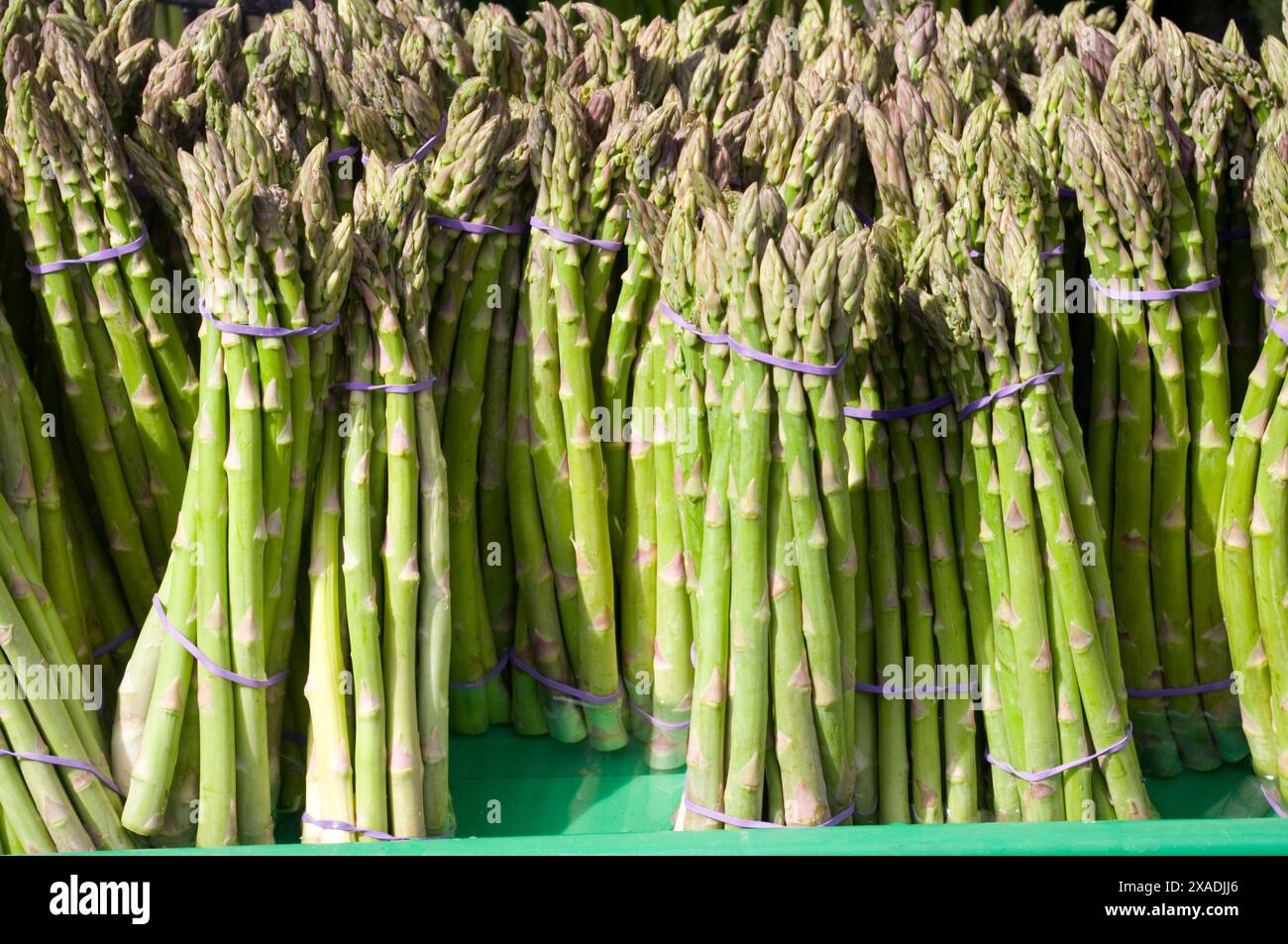 Gli asparagi Spears Foto Stock