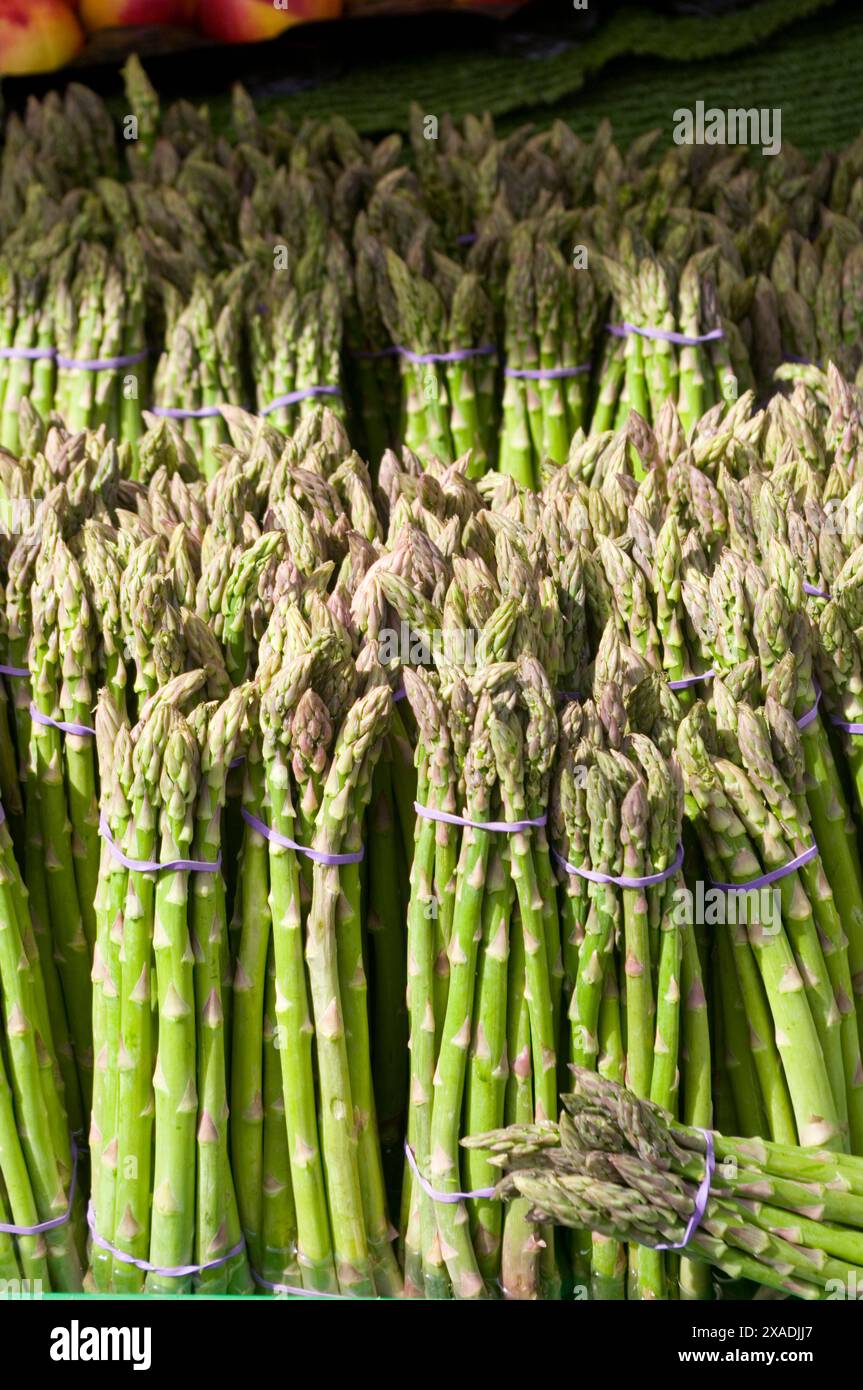 Gli asparagi Spears Foto Stock