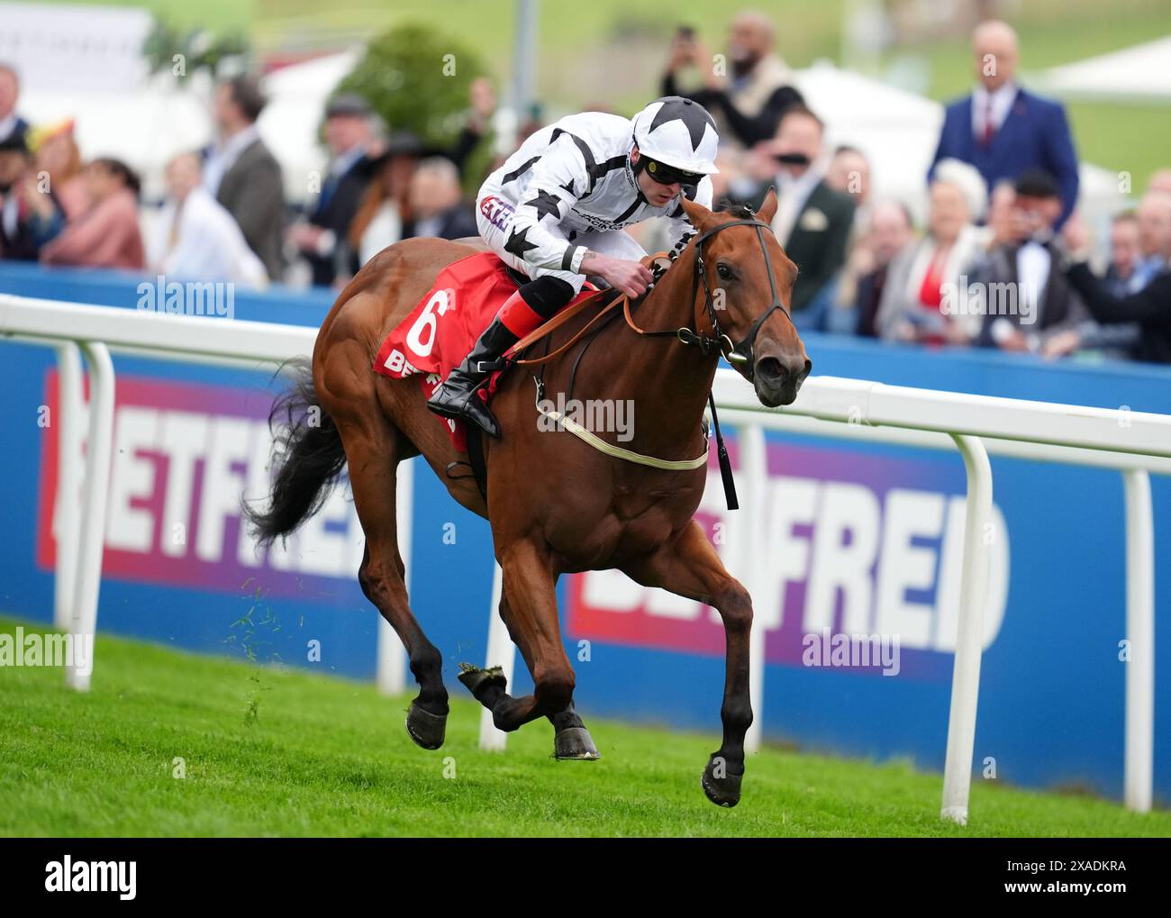 Foto del file datata 31-05-2024 di Teej A, le cui connessioni sono contente di saltare Royal Ascot con il loro campione Epsom, ospitando altre ambizioni di grandi gare più avanti nella stagione. Data di pubblicazione: Giovedì 6 giugno 2024. Foto Stock