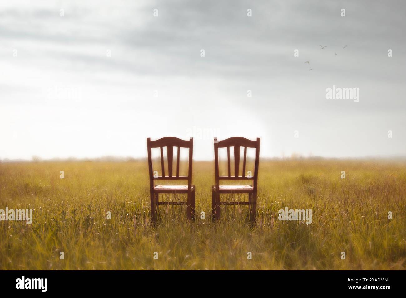 due sedie abbandonate in mezzo a un prato, concetto di attesa e amore per una coppia Foto Stock