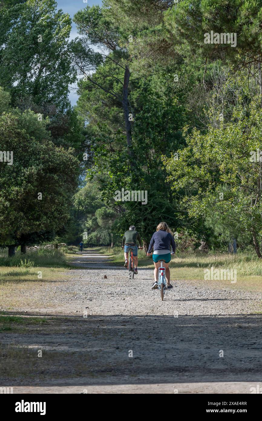 Una donna e un uomo pedalano lungo uno dei tanti sentieri del parco naturale di San Rossore, Pisa, Italia Foto Stock