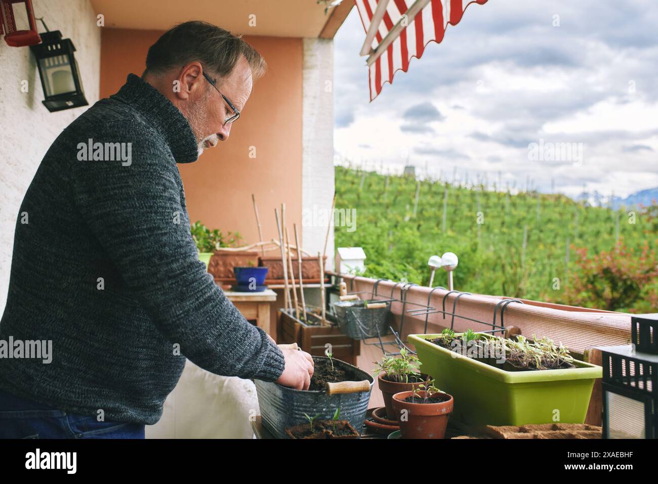 Ritratto di uomo di mezza età piantando piantine sul balcone, piccolo giardino accogliente in appartamento Foto Stock