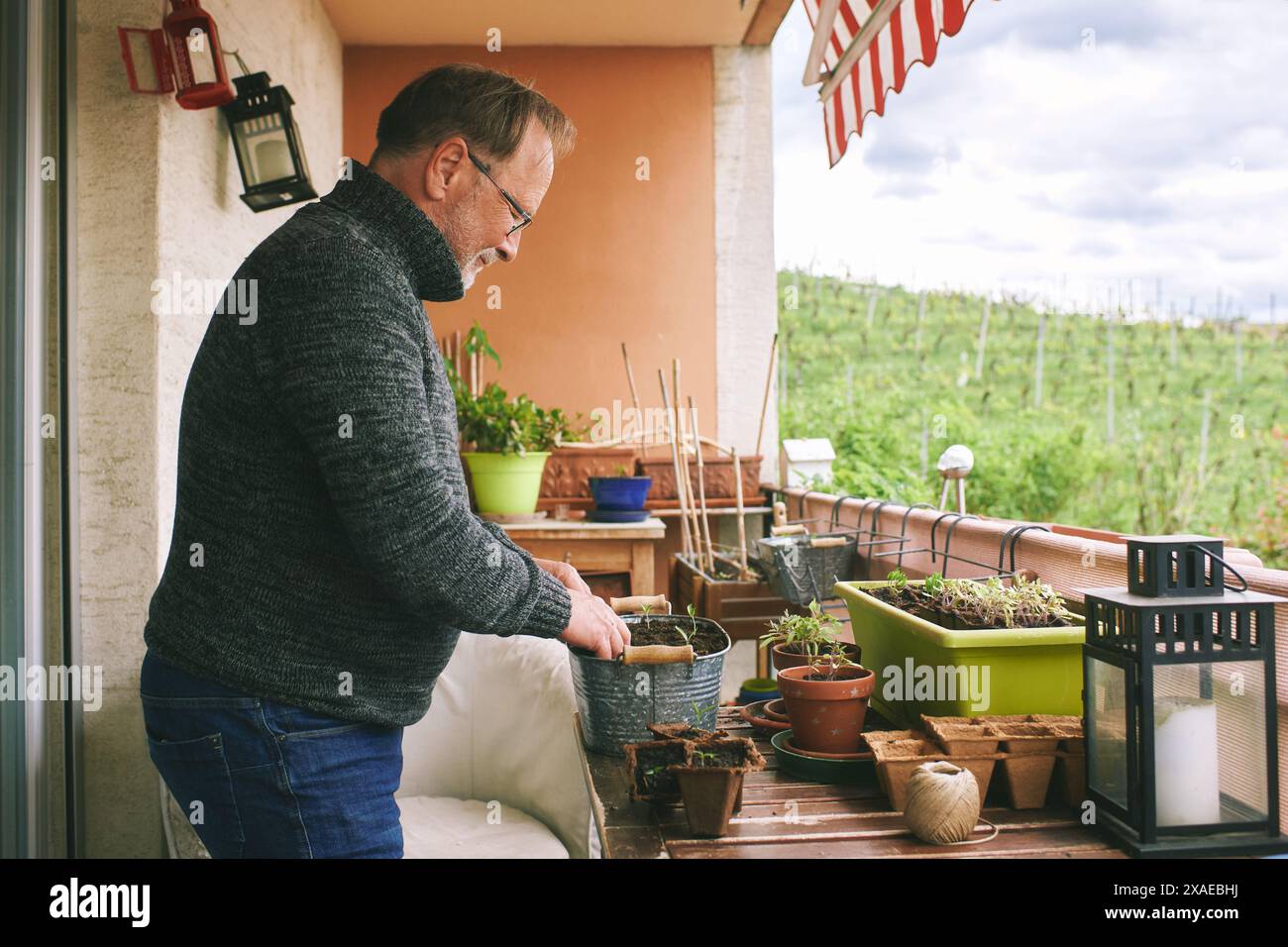 Ritratto di uomo di mezza età piantando piantine sul balcone, piccolo giardino accogliente in appartamento Foto Stock