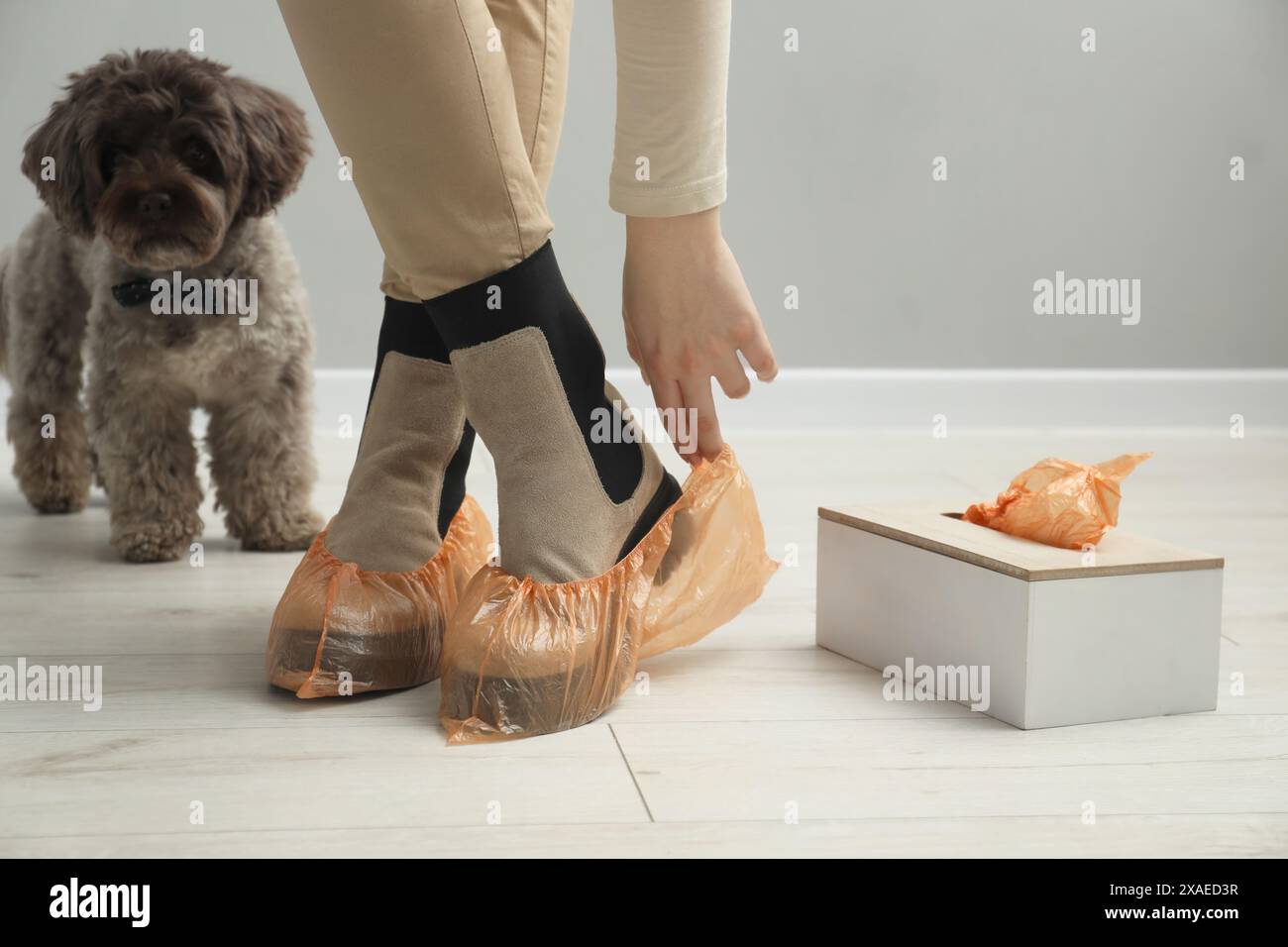 Donna che indossa copriscarpe brillanti sugli stivali al chiuso, primo piano Foto Stock