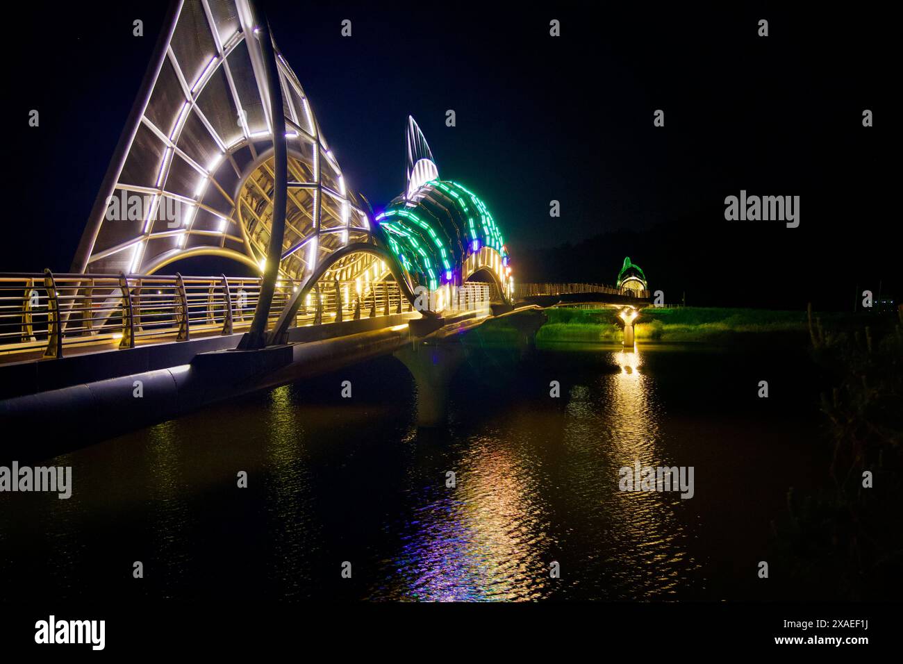 Uljin, Corea del Sud - 18 maggio 2024: Una vista notturna del Ponte dei pesci dolci di Uljin illuminato da vibranti luci LED. Le sculture di pesce si riflettono su Na Foto Stock