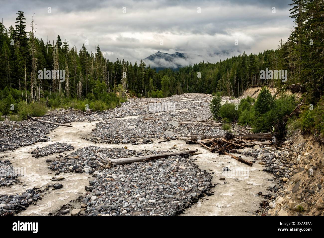 Band of Nisqually River Wind Across River Bed nel Mount Rainier National Park Foto Stock