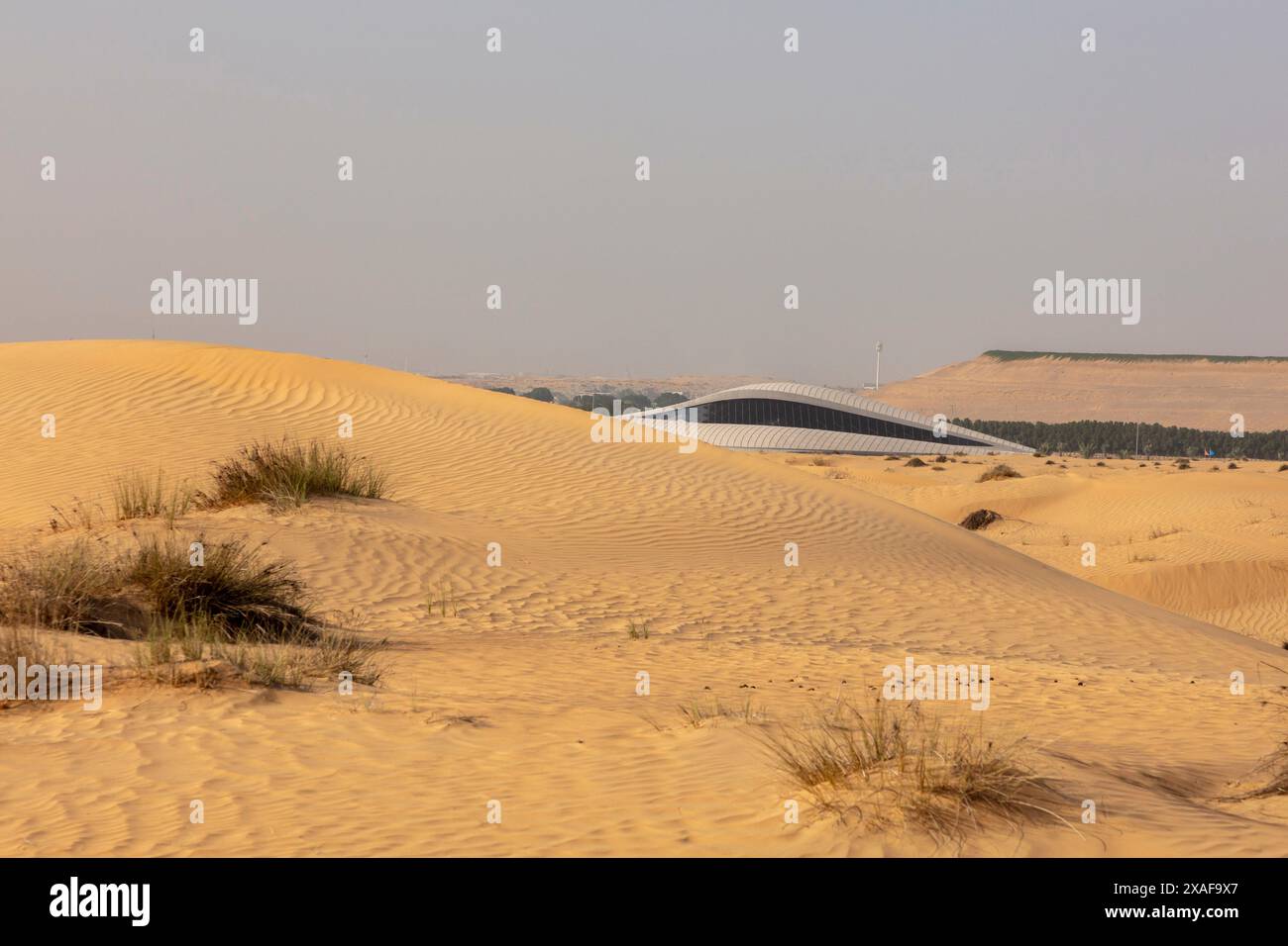 Una vista lontana dal deserto. BEEAH Headquarters, Sharjah, Emirati Arabi Uniti. Architetto: Zaha Hadid Architects, 2022. Foto Stock