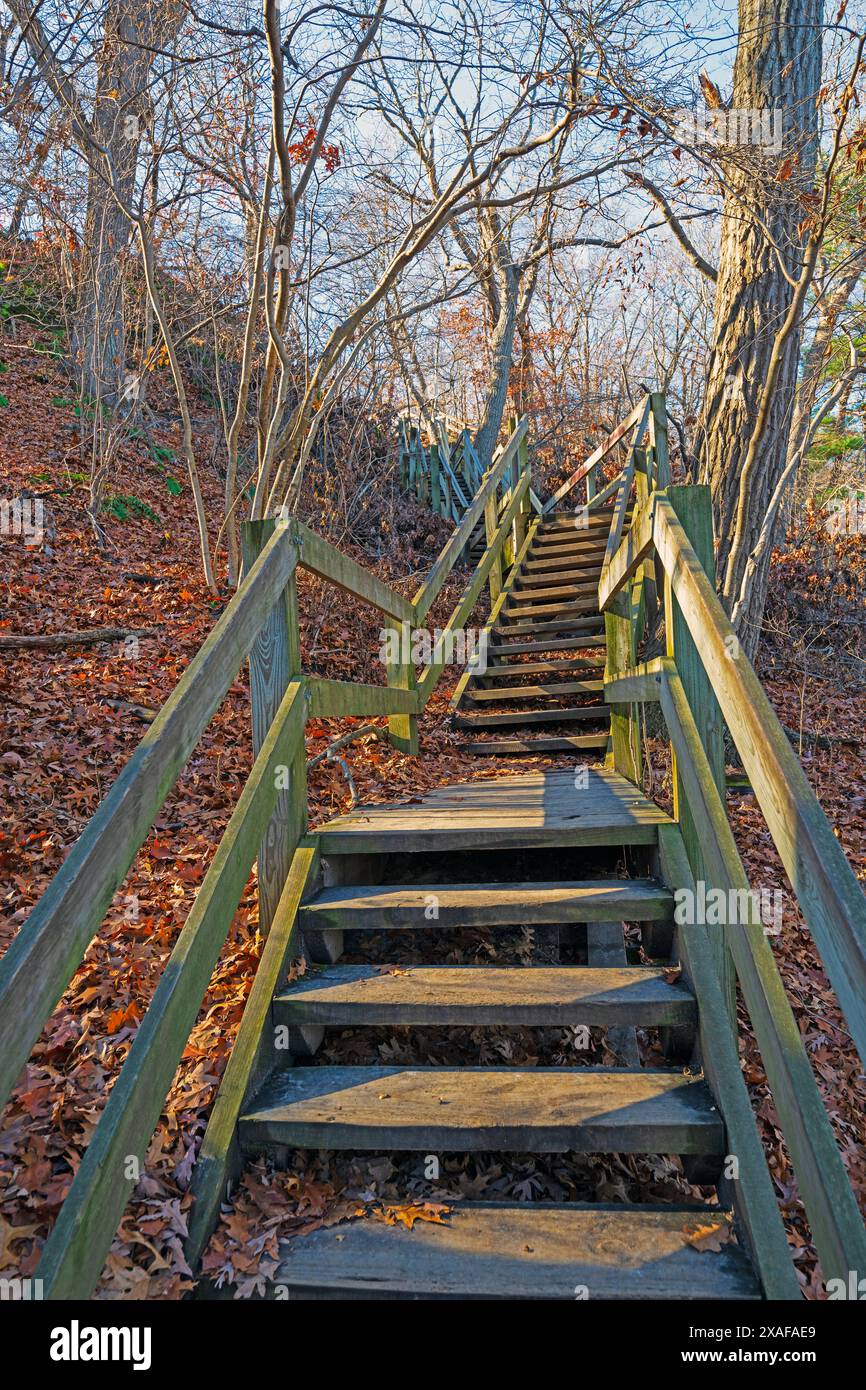 Scala tortuosa che scende da un Remote Canyon nello Starved Rock State Park in Illinois Foto Stock