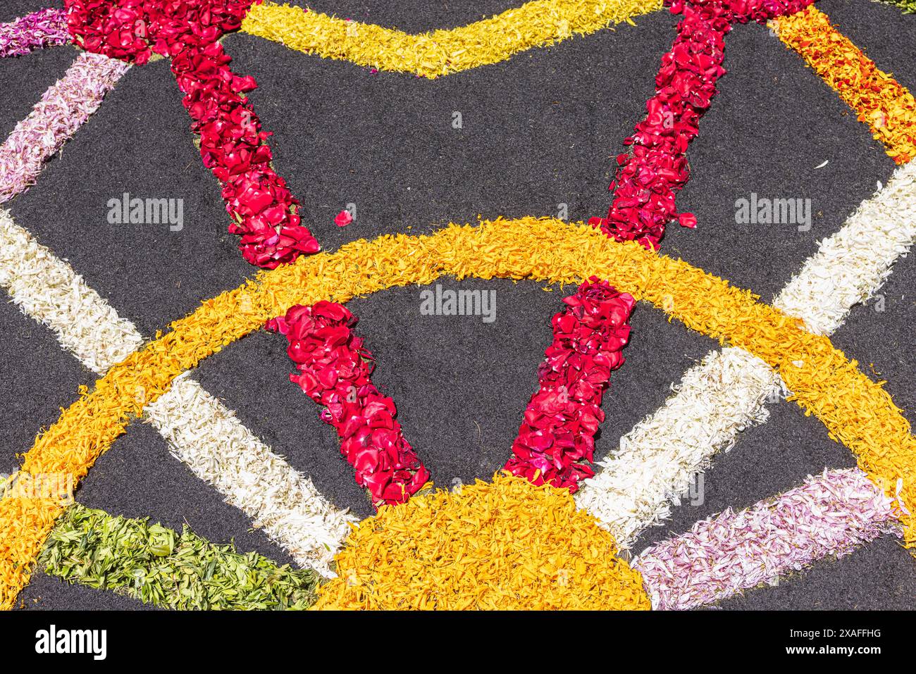 La Orotava, Tenerife, Isole Canarie, 6 giugno 2024. Tappeti di fiori Corpus Christi per le strade della città vecchia per celebrare l'annuale festa religiosa del Corpus Christi. La gente della città costruisce elaborate immagini utilizzando petali di fiori raffiguranti scene e simboli religiosi. © Phil Crean/Alamy crediti: Phil Crean A/Alamy Live News Foto Stock