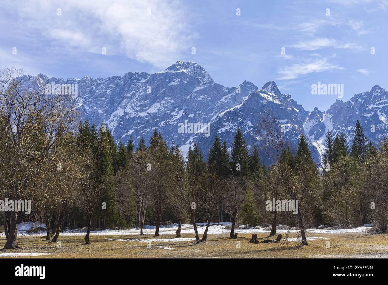 Foto panoramica sopra una foresta primaverile alle montagne innevate delle Alpi Foto Stock