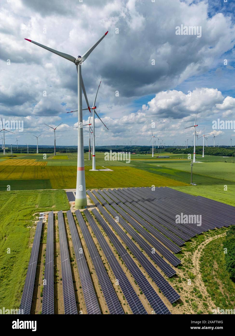 Windpark bei Marsberg, Photovoltaik Anlage, Nutzung von Flächen für Energien rigenerativa, Hochsauerlandkreis, NRW, Deutschland, Windpark PV *** Parcheggio eolico vicino a Marsberg, impianto fotovoltaico, uso di terreni per energie rinnovabili, Hochsauerlandkreis, NRW, Germania, parco eolico PV Foto Stock