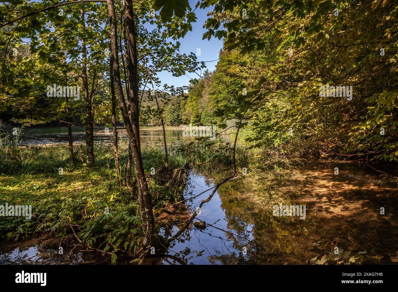 Foto dello stagno di Jankovac a Papuk, Croazia. Papuk è la più grande montagna della Slavonia, nella Croazia orientale, vicino alla città di Požega. Si estendono Foto Stock