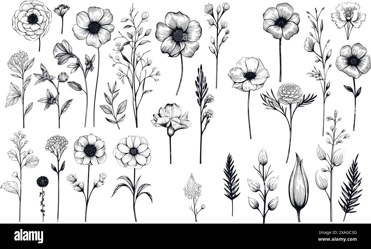 Una collezione di fiori disegnati di vario tipo Illustrazione Vettoriale