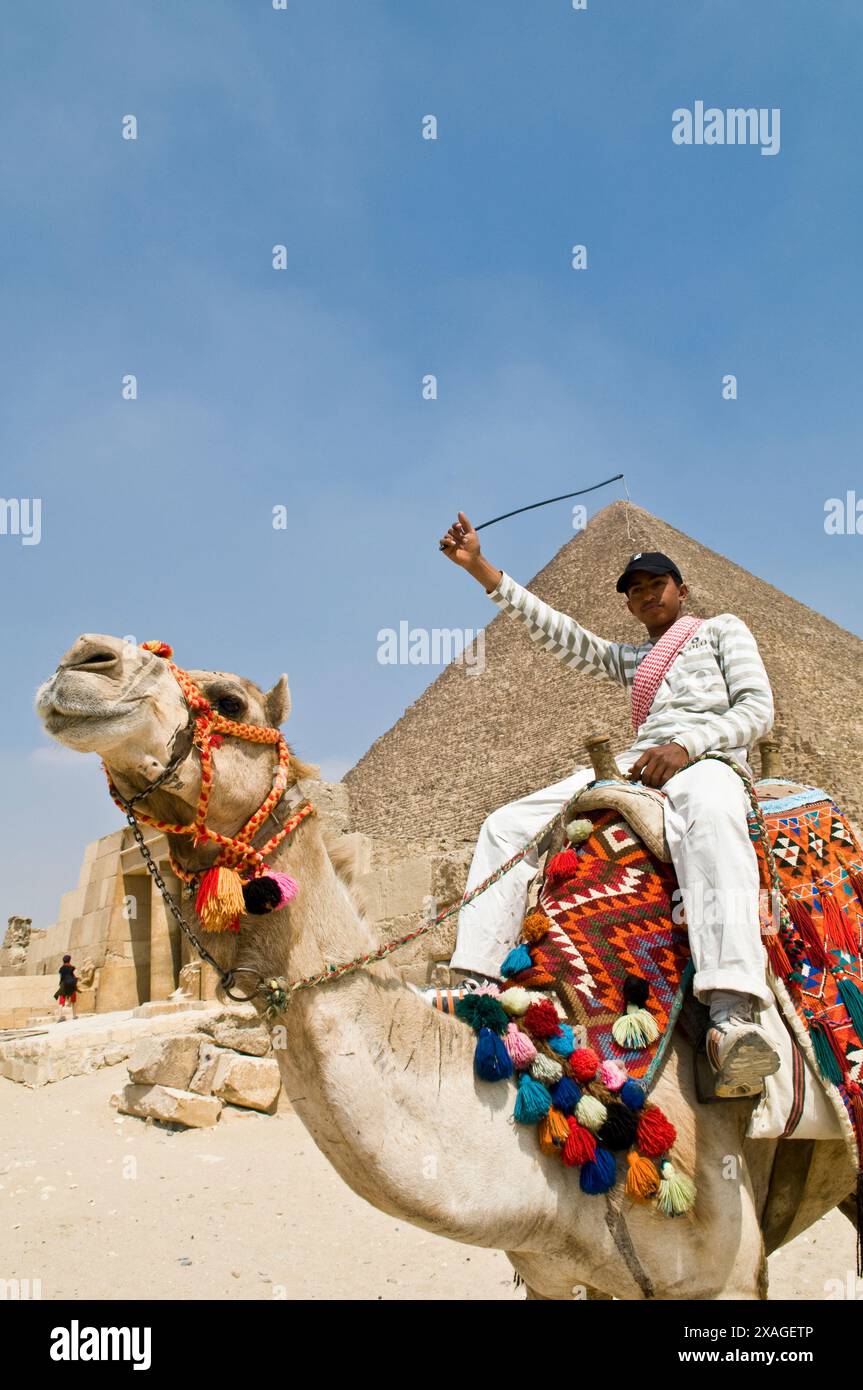 Un egiziano uomo seduto sul suo cammello dalla grande Piramide di Giza. Foto Stock
