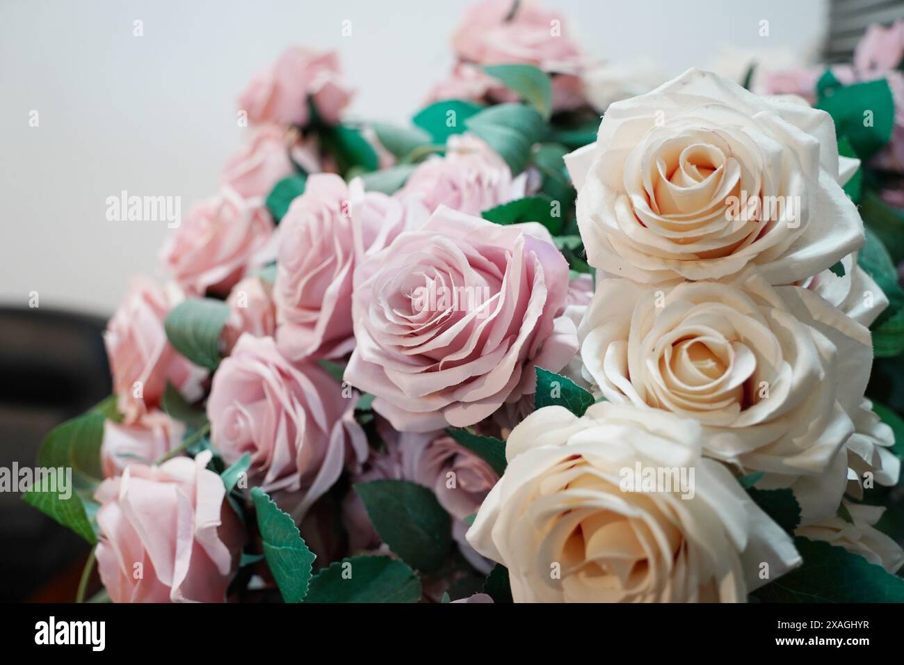 Bouquet di rose bianche e rosa con foglie verdi da vicino Foto Stock