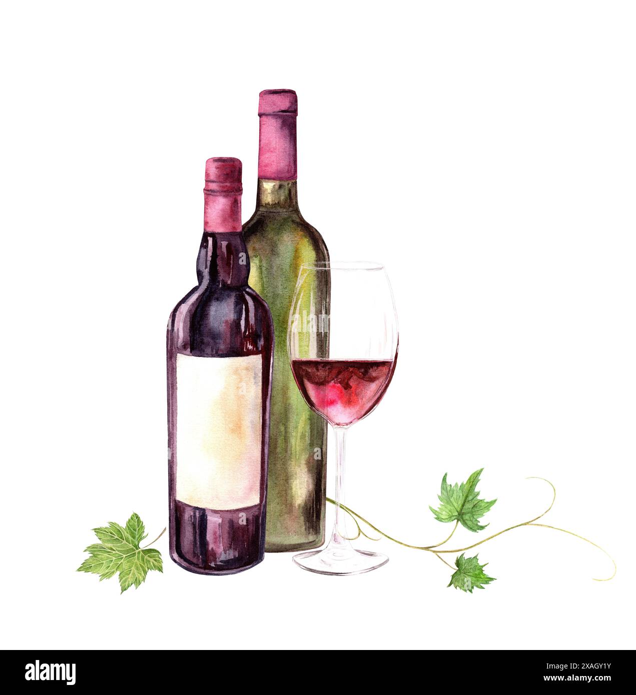 Vino in bottiglia, bicchiere di vino. L'illustrazione è disegnata a mano in acquerello ed è ideale per la progettazione di menu, liste di vini, biglietti e inviti Foto Stock