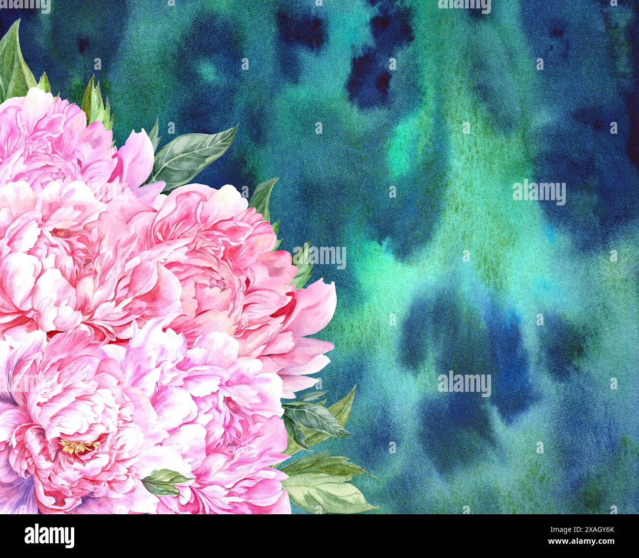 Peonie rosa disegnate a mano su sfondo ad acquerello Foto Stock