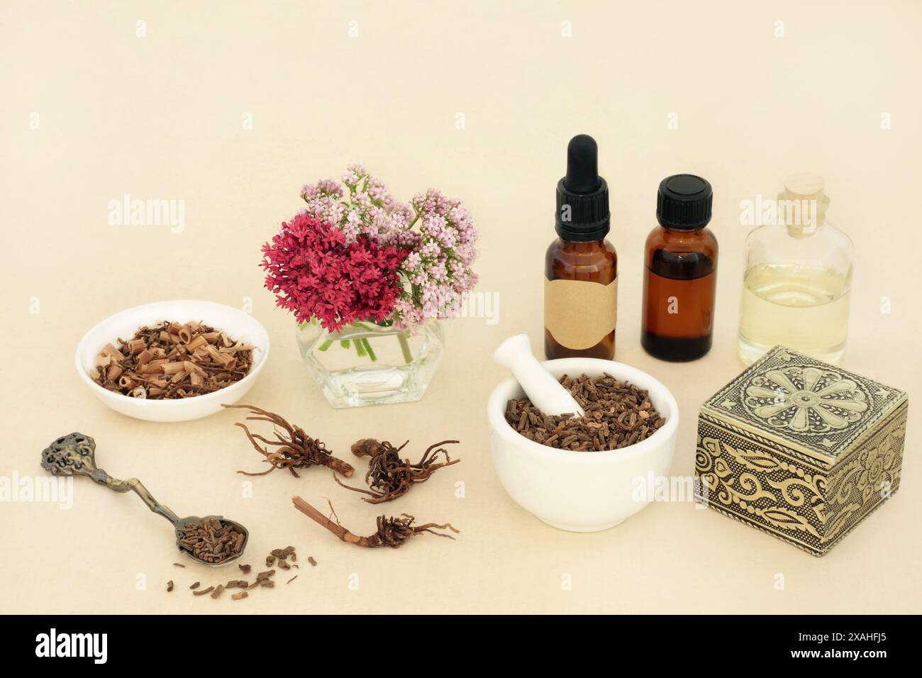 Radice di erbe valeriane con fiori e bottiglie di olio essenziale. Usato in medicina a base di erbe per trattare l'insonnia, è un farmaco naturale sedativo e tranquillizzante. Foto Stock