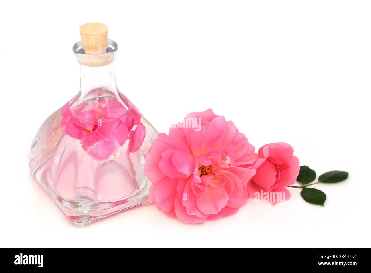 Acqua di rosa per la cura della pelle naturale con fiori rosa su sfondo bianco. Prodotto alternativo per idratare la pelle, per curare rossore, irritazione, cicatrici Foto Stock
