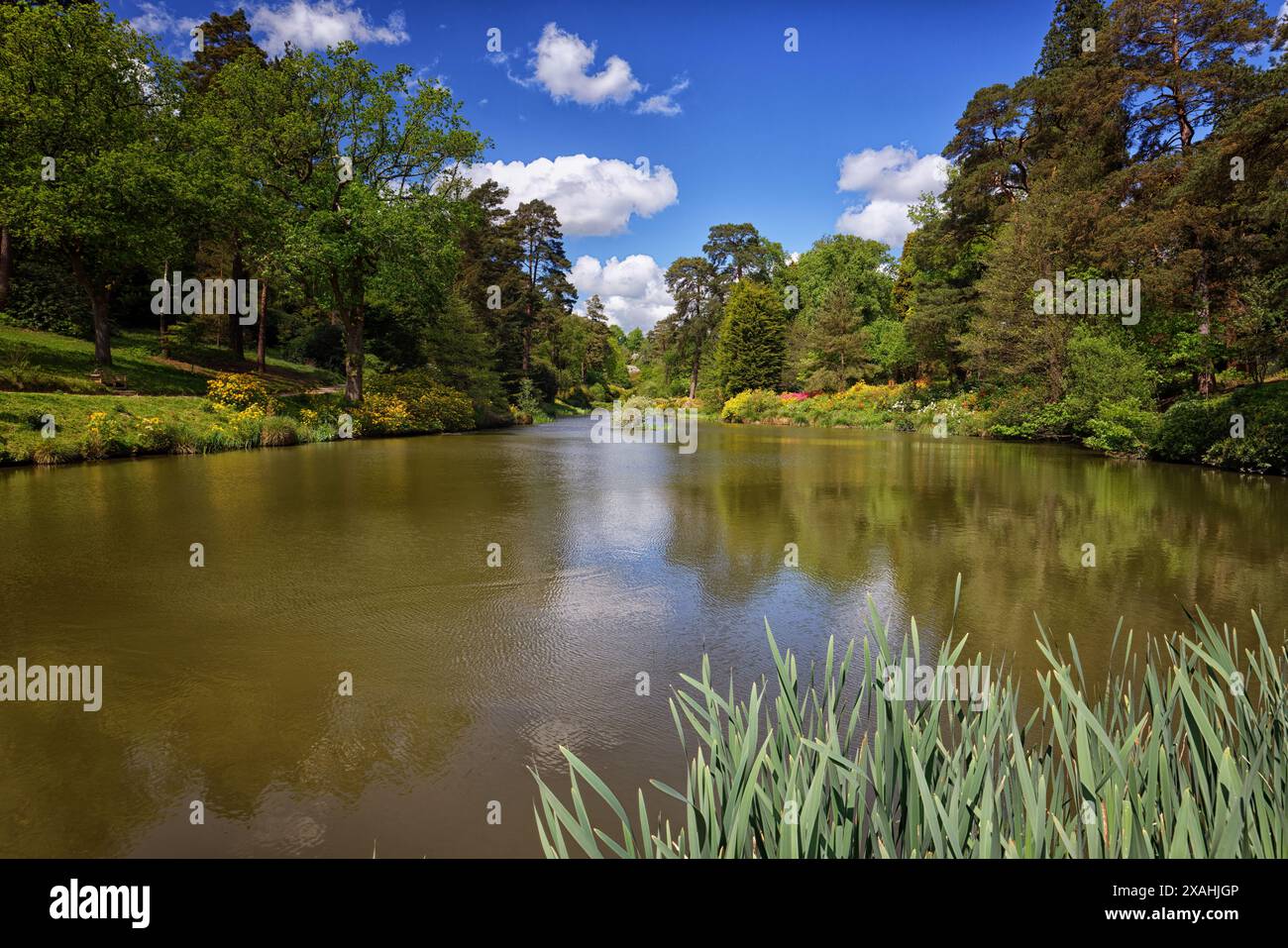 Parco inglese e giardino Foto Stock