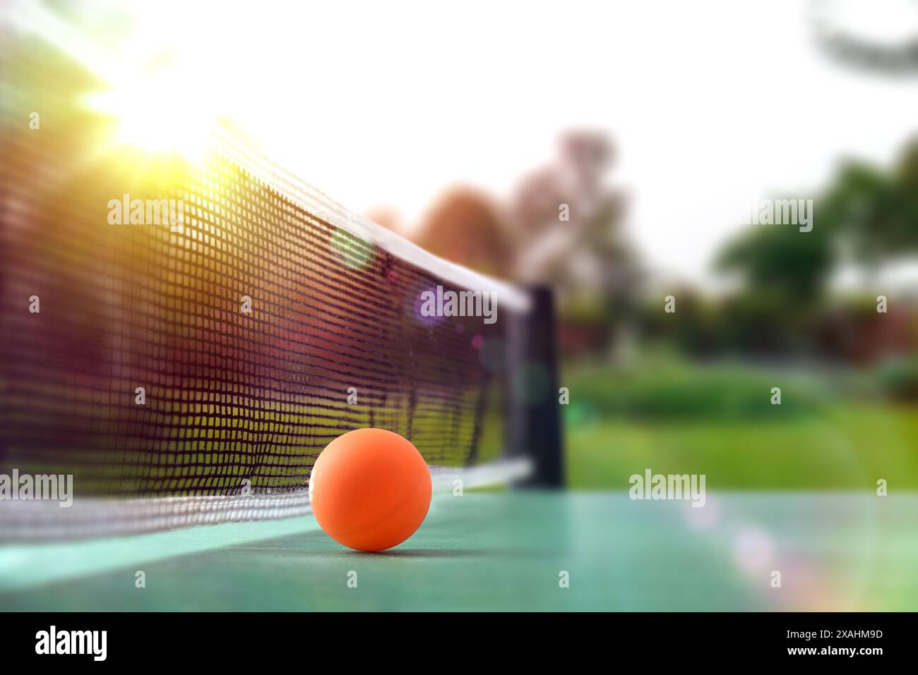 Concetto di gioco da ping pong con palla arancione accanto alla rete di un tavolo da gioco verde con sfondo naturale soleggiato. Vista frontale. Foto Stock