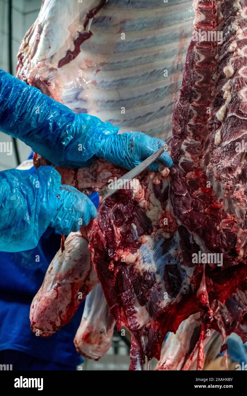 Vista ravvicinata della carcassa di carne cruda tagliata al macellaio. Foto Stock