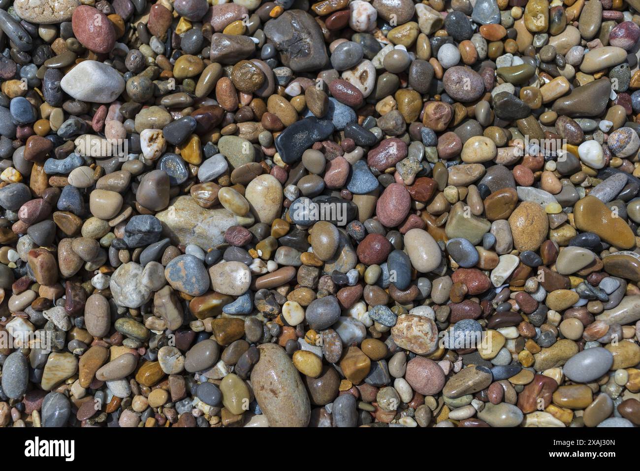 foto ravvicinata di una spiaggia bagnata di ciottoli, piccole pietre colorate bagnate su una riva del mare nelle giornate di sole Foto Stock