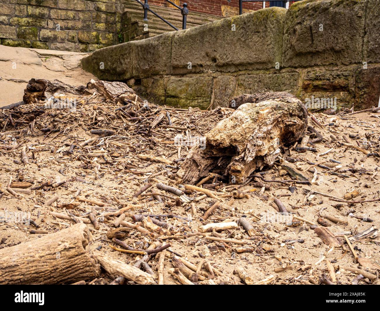 Spiaggia in fondo alla scogliera est di Whitby, caratterizzata da sculture in legno di deriva progettate da madre natura e dal mare Foto Stock