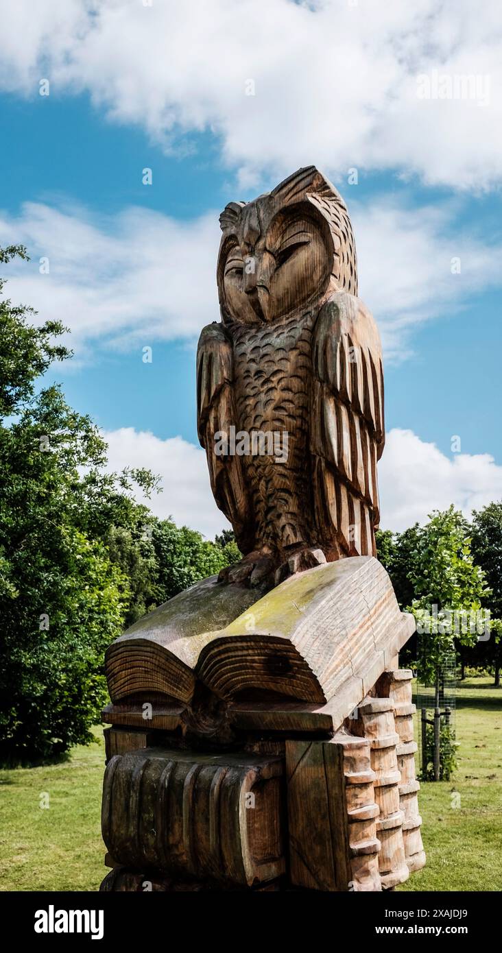 Statua del gufo di legno a Ropner Park, Stockton, Inghilterra, Regno Unito Foto Stock