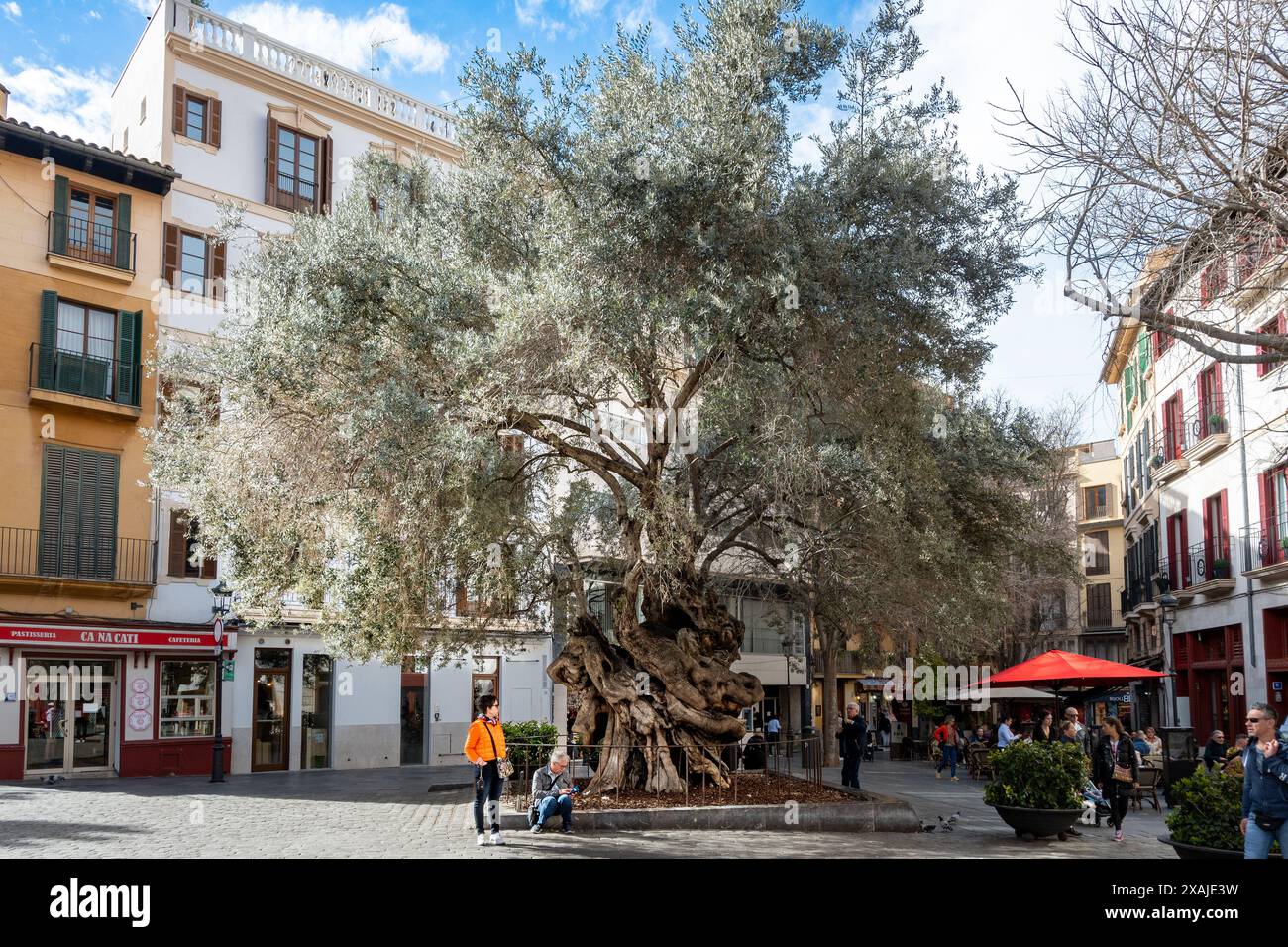 Palma, Isole Baleari, Spagna, architettura classica del quartiere storico di Palma, solo editoriale. Foto Stock