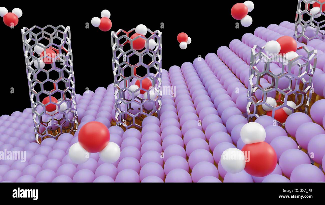 rendering 3d delle molecole che passano attraverso porine di nanotubo di carbonio su membrana lipidica bilayer Foto Stock